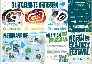 Festival identity project
